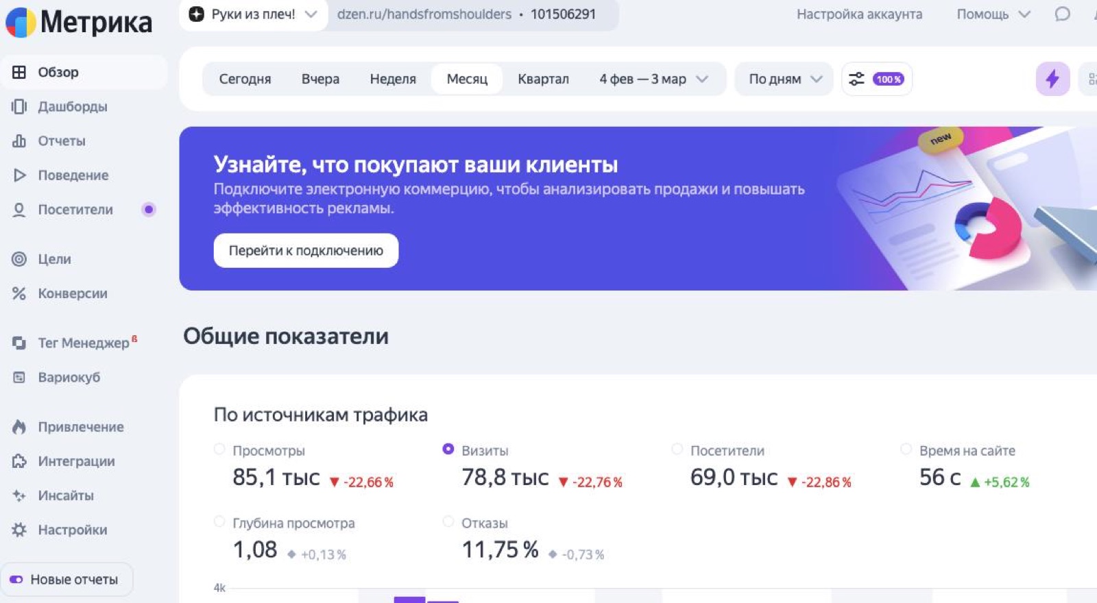 Яндекс.Метрика: органический трафик из Дзена за месяц